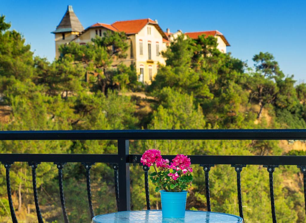 Vintage Place Rooms Limenaria  Buitenkant foto
